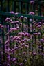 适马（SIGMA）16-300mm f3.5-6.7 DC OS ｜Contemporary 半画幅 远摄变焦镜头 旅游风光人像（索尼E卡口） 实拍图