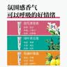 惠百施ZERO绵密泡倍净牙膏清新口气美白亮白 绿叶青瓜香型 90g 实拍图