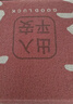 大江入户地垫进户门红色喜庆地毯出入平安门垫丝圈脚垫60x90cm 实拍图