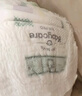 babycareAir pro拉拉裤夏季超薄透气尿不湿宝宝尿片bbc婴儿新生儿日用尿布 纸尿裤M码 1包 28片 适合6-11kg 实拍图