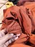 京东洗衣服务衣鞋任洗6件上门取送 干洗服务水洗去渍熨烫杀菌 实拍图