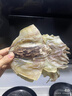 淡晒墨鱼干500g海鲜海产干货乌贼干目鱼干开洋海产品煲汤送礼炒菜 小墨鱼干500g约25-35只 实拍图