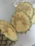 南步广东徐闻大菠萝 湛江特产香水大菠萝十七号菠萝新鲜热带水果整箱 5斤精选大果【2-3个】 实拍图
