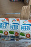 伊利纯牛奶250ml*24盒 优质乳蛋白早餐奶 4月产 实拍图