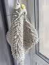 洁丽雅（Grace）雪尼尔擦手巾26*26cm*2条马上有钱加厚吸水速干挂式吸水巾 实拍图
