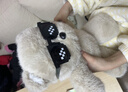 熊猫熊会跑步的跑跑小熊玩偶布娃娃毛绒玩具公仔送女友女生生日礼物女孩 实拍图