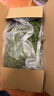 BCM烘干紫花苜蓿草 幼兔兔粮 干草兔子牧草龙猫荷兰猪磨牙饲料750g 实拍图