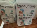 HONEYCARE好命家狗狗纸尿裤公狗尿不湿生理裤S适用体重4-10kg/12片装 实拍图