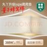丸丫ixpe爬爬垫婴儿爬行垫加厚家用宝宝整体垫1.8*2.0米*2.5CM-派对 实拍图