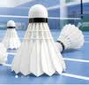 尤尼克斯 尤尼克斯羽毛球AS05特选鸭/鹅毛YY稳定耐打王职业训练比赛球 AS05【2速】特级鸭毛 1筒 实拍图