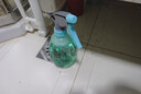 喷壶浇花浇水喷雾器气压式喷水壶家用园艺养花500ml 南瓜喷壶透蓝【1个装】 实拍图