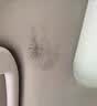 巨奇（JUQI）皮革除霉剂真皮沙发皮具皮衣去霉斑霉菌汽车内饰除霉清洁剂500ml 实拍图