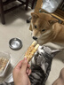 HELLOJOY狗狗零食宠物泰迪金毛幼犬成犬训练奖励 鸡肉绕奶棒1000g 实拍图
