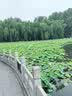 爱贝迪拉（AIBEDILA）防撞条软包儿童环保无毒墙包边宝宝防磕碰保护条婴儿防撞角L型4米 实拍图