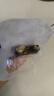 东阿阿胶桃花姬阿胶糕20g 袋装体验装非卖品 送父母送长辈 实拍图