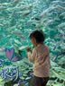优勤（YOUQIN）浴室置物架落地多层收纳架厕所洗手间夹缝架子落地式脸盆架 象牙白-长方形三层+挂钩 实拍图