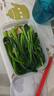 家の物语（KATEI STORY）抗菌冷冻保鲜盒冰箱冻肉分装盒食品级微波炉冷冻收纳盒水果盒 实拍图