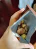 三只松鼠板栗仁40g*11袋无壳即食软糯香甜优质甘栗仁休闲零食坚果炒货 实拍图