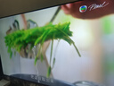 海尔【小红花电视-绽放版】品质款电视75H5D 75英寸165Hz 110% 64GB 4K游戏护眼1级能效国家补贴 实拍图