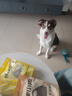 疯狂小狗宠物狗狗零食牛骨头耐咬金毛中大型犬磨牙棒 天然牛膝骨 260g  实拍图