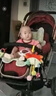 妈宝孖宝婴儿车玩具挂件安全汽车载座椅宝宝0-6个月床摇铃0-1岁螃蟹拉拉乐 实拍图