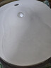 霍曼（Homerun）宠物双无线饮水机BF21 自动饮水器猫咪饮水机无线续航自由摆放 实拍图