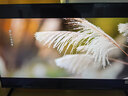 Vidda R Pro 43英寸 海信电视 144Hz高刷 高阶VA低反屏 智慧屏 以旧换新补贴 液晶家用电视机43VR1S-PRO 实拍图