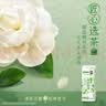 蒙牛茉莉雪芽牛奶饮品200g*10盒 整箱学生儿童营养早餐牛奶饮料 实拍图