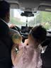 babylove女宝宝吊带裙夏季网纱裙洋气女童裙子百搭公主裙蝶翼初停 实拍图
