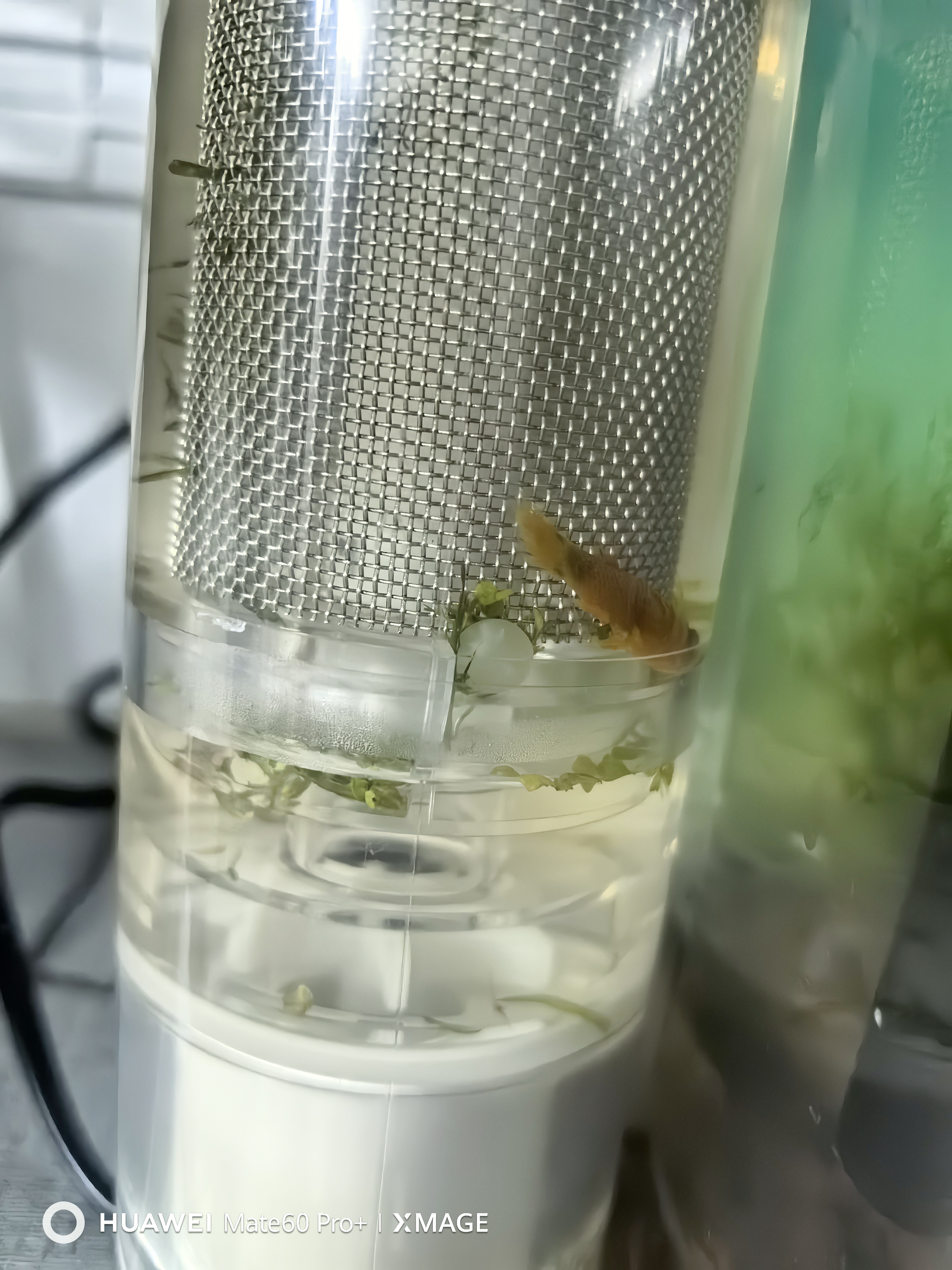 森森（SUNSUN）壁挂瀑布式鱼缸过滤器鱼马桶净水循环过滤一体机YBK-500+滤材 实拍图