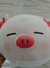 名创优品（MINISO）小猪B-BO弹力超柔趴姿公仔毛绒玩偶儿童玩具抱枕靠枕生日礼物女 实拍图