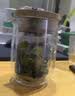高茗双层绿茶泡茶壶耐高温一人用泡茶器2025新款办公室专用防烫小茶壶 双层泡茶壶 300ml 实拍图
