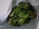 【东东买菜】四季小青菜自种大棚小油菜现摘超市涮火锅时令蔬菜 河南小青菜2斤装净重 实拍图
