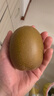 佳沛（zespri）新西兰 阳光金果18粒超大果原箱单果175-204g 猕猴桃水果礼盒 实拍图