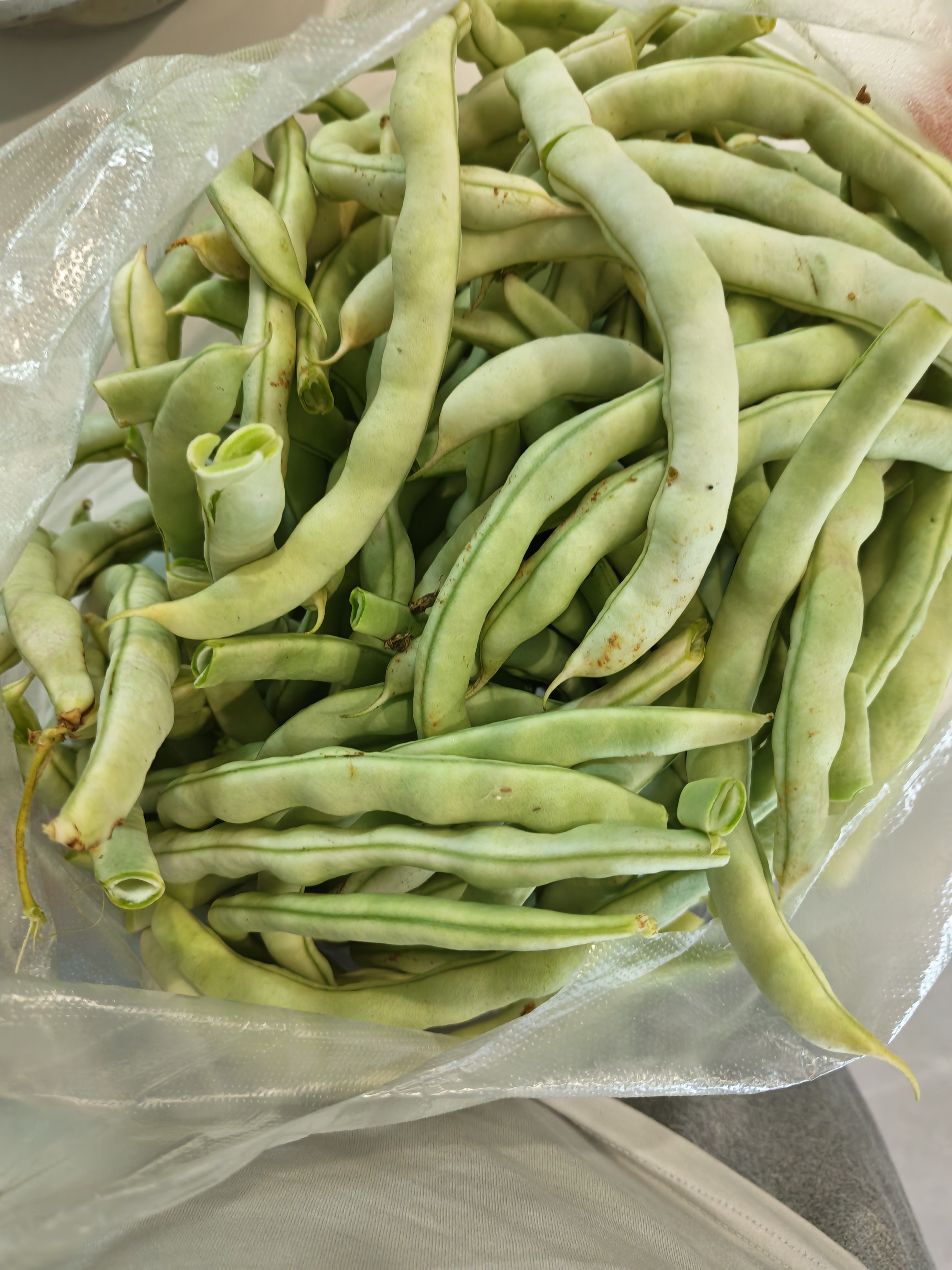 时珍世家 金系列膝盖热敷软骨磨损半月板损伤膝盖疼痛积液关节炎滑膜炎专用膏药贴 实拍图