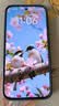 小米（MI）REDMI Turbo 5 天玑8500-Ultra 1.5K阳光屏 6.59