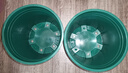 花盆绿植盆栽加厚塑料简约多肉小盆阳台客厅月季玫瑰大号家用花盆 高款2加仑(口径22cm)2个盆 不带托盘 实拍图