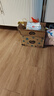 好奇（Huggies）金装小黑洞纸尿裤S120片(4-8kg)尿不湿【速干不易红】 实拍图