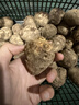 京鲜生山东牛奶小芋头 净重3斤中果25g+ 源头直发 蔬菜辅食 自营包邮 实拍图