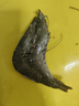 禧美海产鲜冻大号黑虎虾 净重3斤装 45-60只/盒 单冻大虾 海鲜 烧烤食材 实拍图