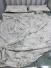 红豆水洗棉床上四件套家用卧室亲肤被套180x220cm被罩宿舍单人三件套 仙草 【触感细腻 舒适裸睡】 1.8m 床单款 四件套-被套180*220cm 实拍图