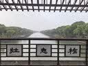 安踏叶子6丨缓震跑步鞋革面防泼水女鞋舒适慢跑鞋厚底增高运动鞋 实拍图