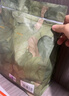babycare爆款山茶花一次性内裤女孕产妇日抛出差旅行XL码15条【安全灭菌】 实拍图