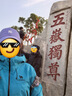 MLB帽子男女情侣棒球帽软顶鸭舌帽遮阳生日礼物3ACP7701N-50PPS 实拍图