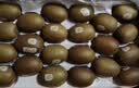 佳沛（zespri）新西兰阳光金奇异果巨大果22粒原箱单果146-175g 猕猴桃水果礼盒 实拍图