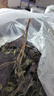 养益君紫苏叶300g 紫苏叶茶紫苏饮 干紫苏籽子叶 精选好货 花草茶叶泡水 实拍图