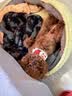 Sashas旗舰萨沙鲨鱼软骨素关节保护猫犬软骨骨骼呵护宠物关节日常保健 萨沙胶囊 30粒*1瓶 【猫犬通用】 实拍图