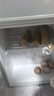 新飞冰箱小型租房用 一级能效冷 藏冷冻两用1-2人家用小冰箱 出租房双门电冰箱办公室两门 26年升级 58A一级能效【高性价比】银 实拍图