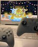 飞智冰原狼4多模版无线游戏手柄 类xbox 力调节摇杆双切扳机 switch电脑PC手机steam体感NS 仁王3 实拍图