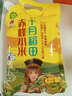 十月稻田 赤峰小米 1kg 内蒙古敖汉旗 黄小米杂粮 小米黄小米 新米 早 实拍图